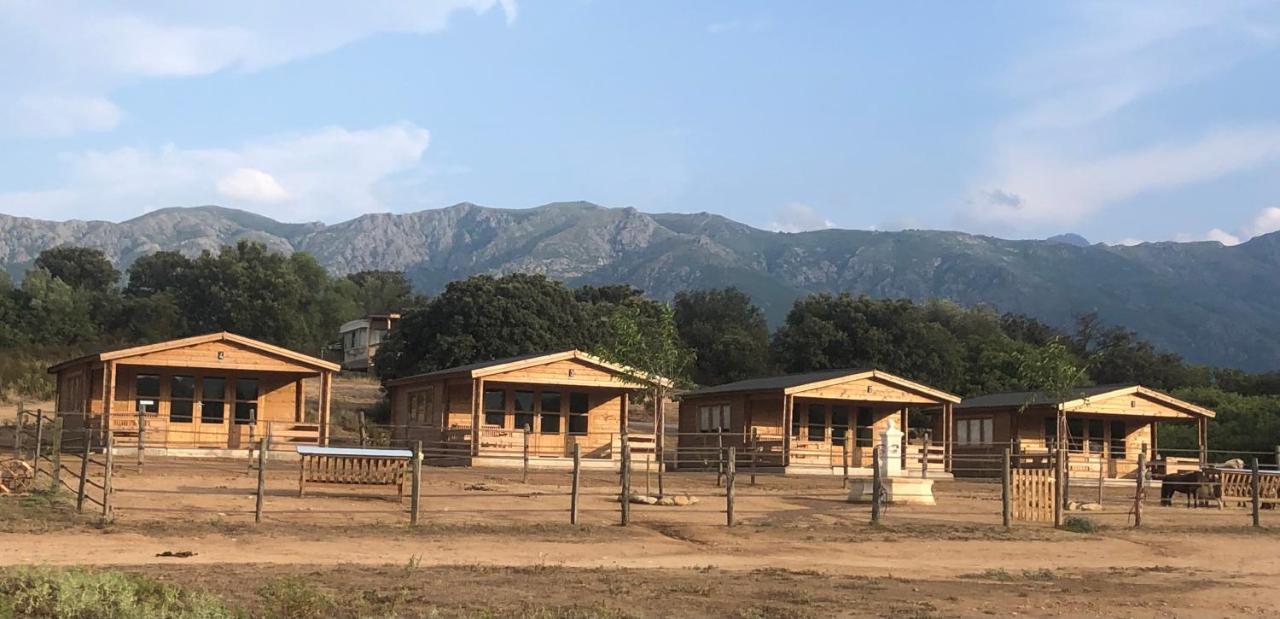 Les Chalets De Tesa Occhiatana Экстерьер фото